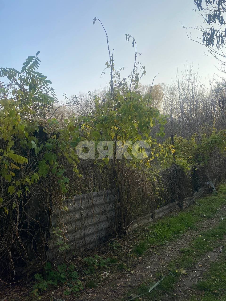 Фото №4: Земельный участок под ИЖС 7 сот. - Новокубанск, ул. Садовая