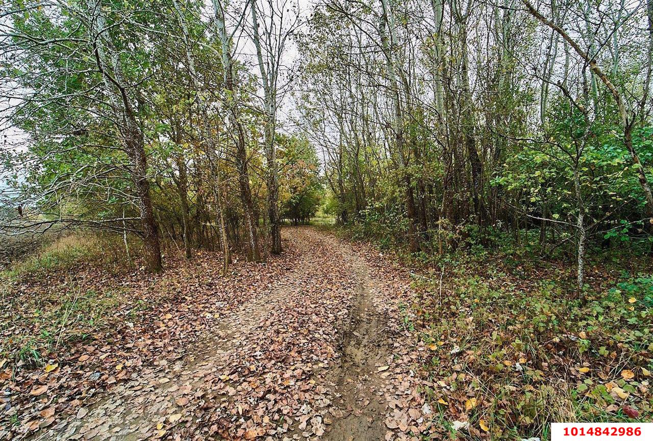 Фото №5: Земельный участок под ИЖС 11 сот. - Горячий Ключ