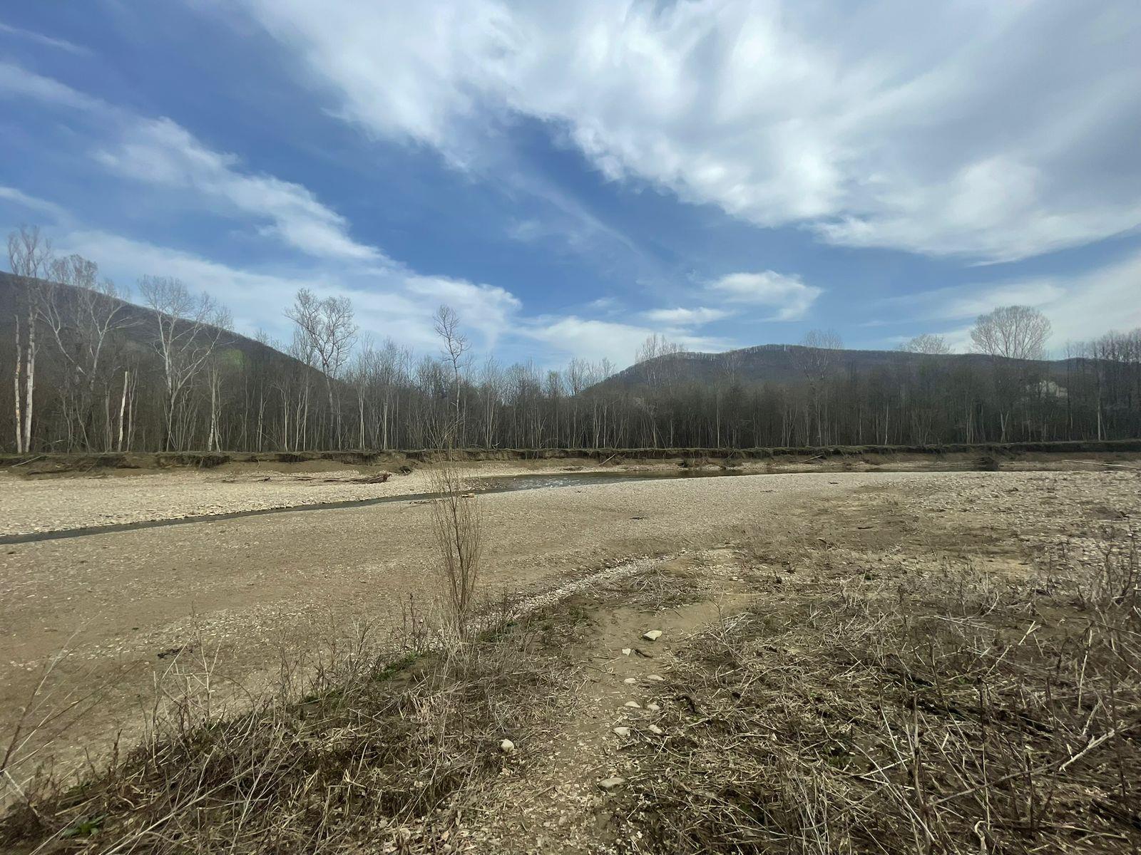 Фото №3: Коммерция 90 м² - Безымянное, ул. Октябрьская, 2