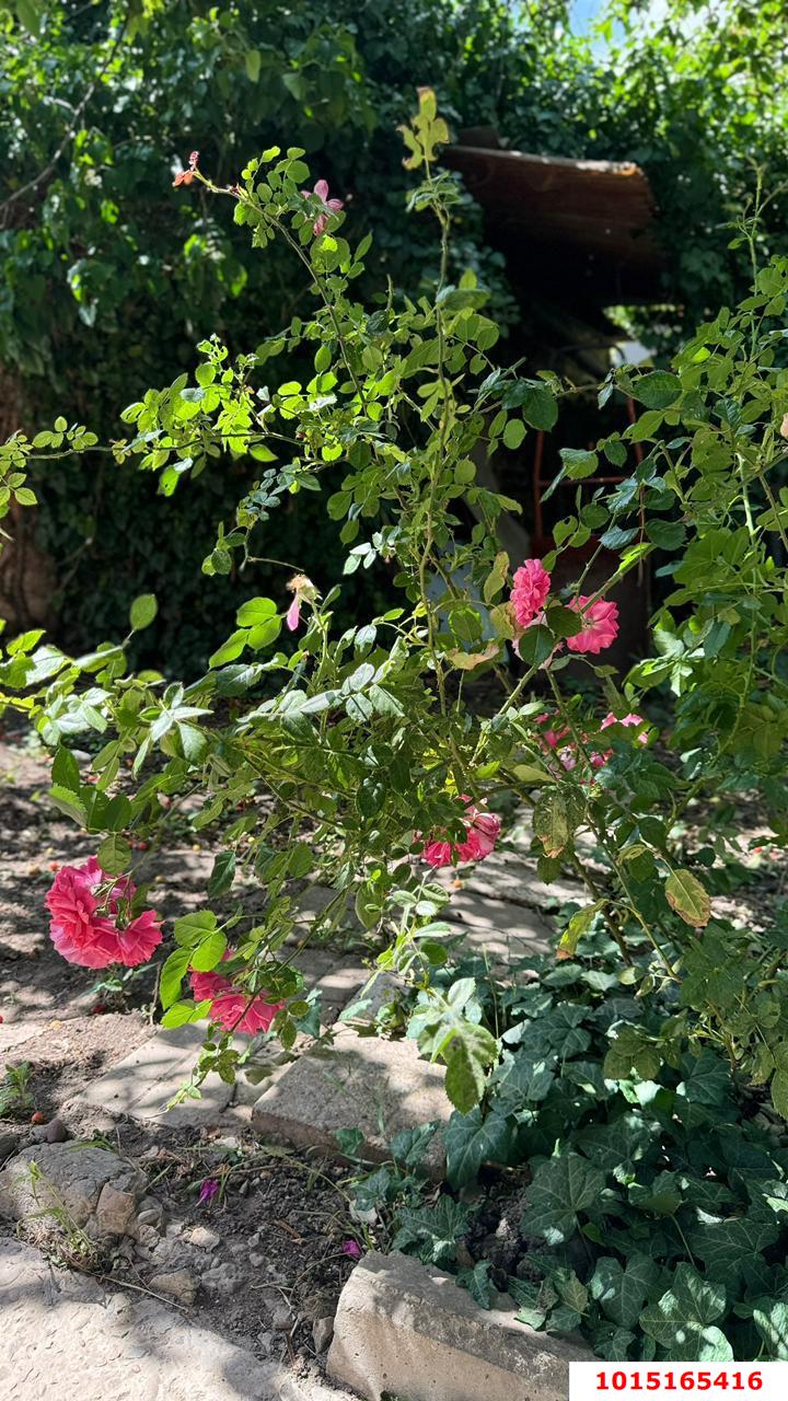 Фото №14: Дом 75 м² + 5 сот. - СТ Дорожник, ул. Вишнёвая, 45