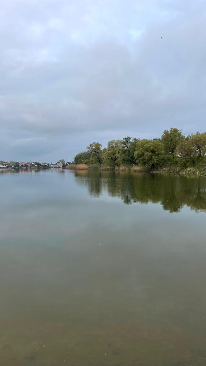 Фото №15: Дом 75 м² + 5 сот. - СТ Дорожник, ул. Вишнёвая, 45