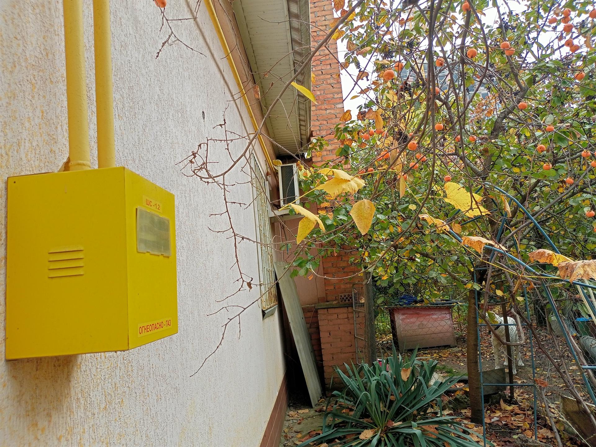 Фото №11: Дом 60 м² + 4.05 сот. - Краснодар, Прикубанский внутригородской округ, Сады Калинина, ст Животновод, ул. Грушевая, 315