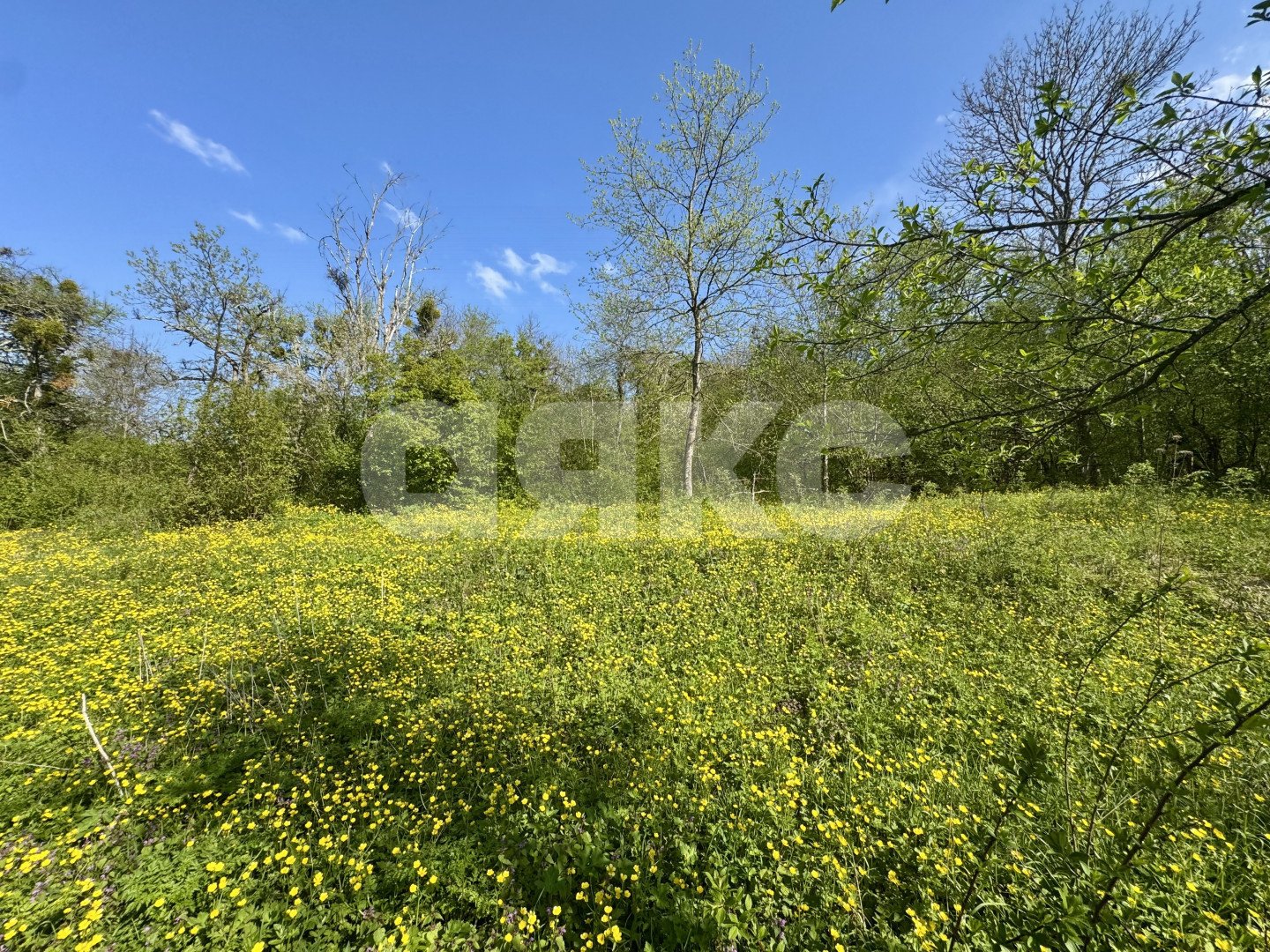 Фото №26: Дом 80 м² + 15 сот. - Курджипская, ул. Заречная, 35