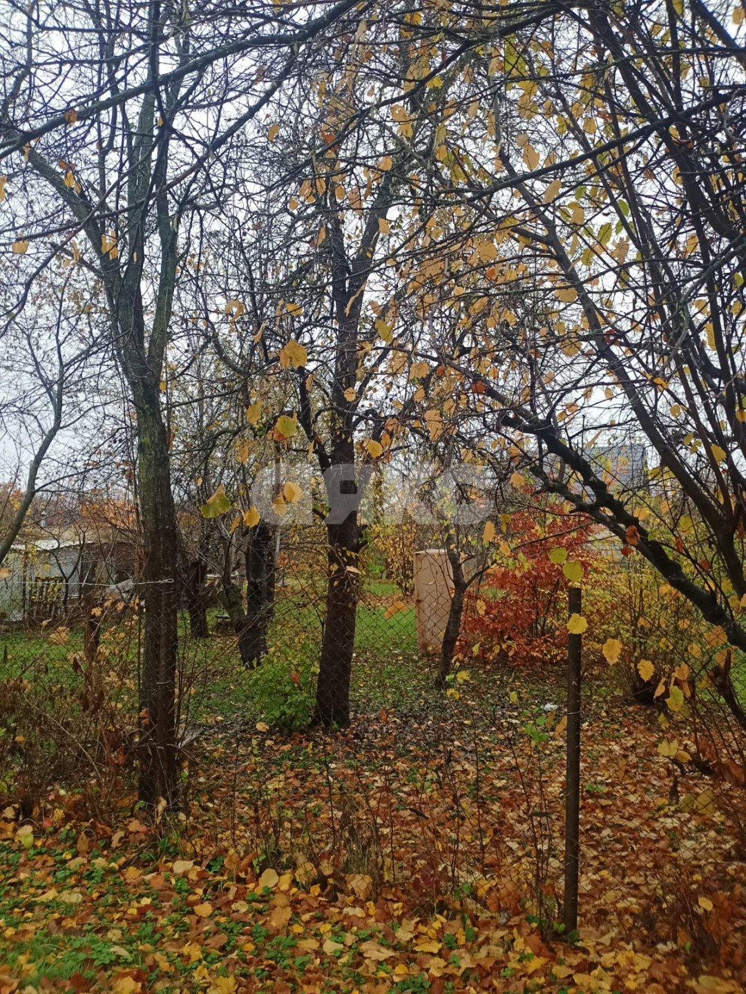 Фото №3: Участок садоводство 6 сот. - Армавир, ул. Вячеслава Рассохина