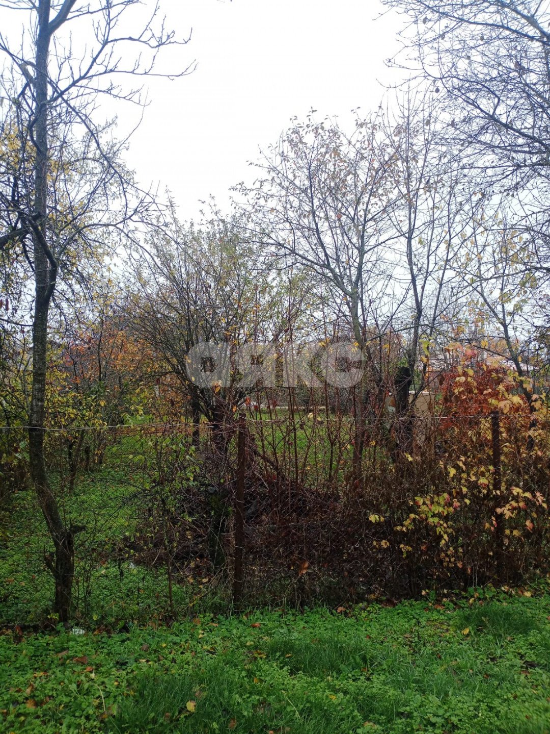 Фото №2: Участок садоводство 6 сот. - Армавир, ул. Вячеслава Рассохина