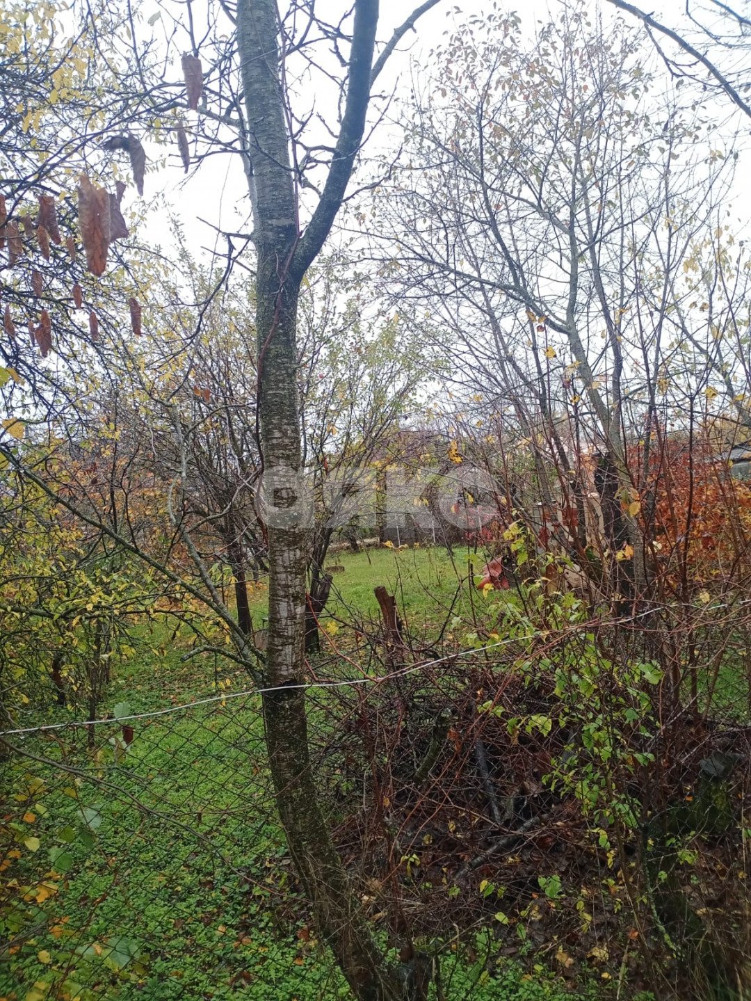 Фото №1: Участок садоводство 6 сот. - Армавир, ул. Вячеслава Рассохина