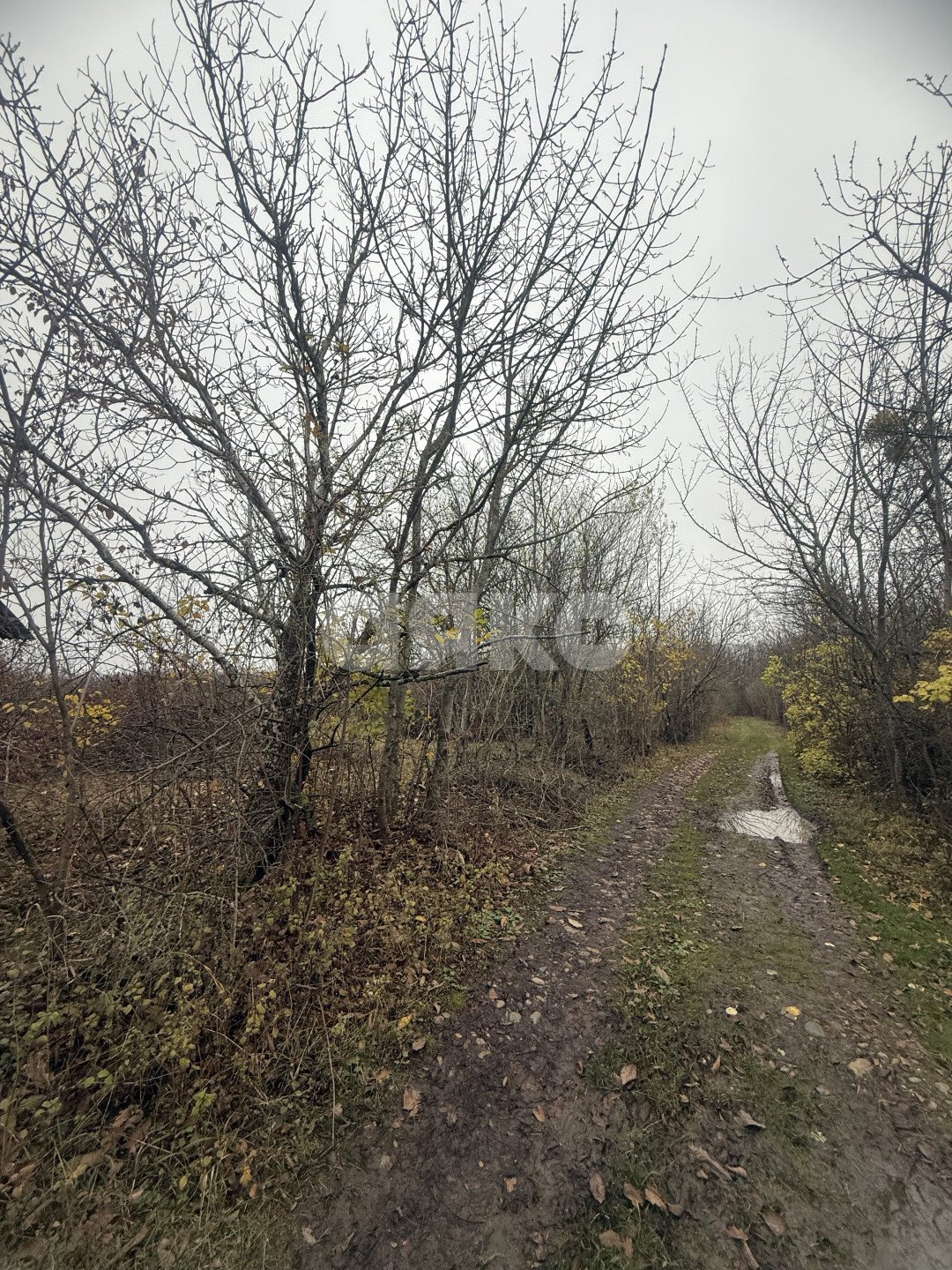 Фото №9: Участок садоводство 5 сот. - Майкоп, СНТ Звёздочка, ул. Роз, 23