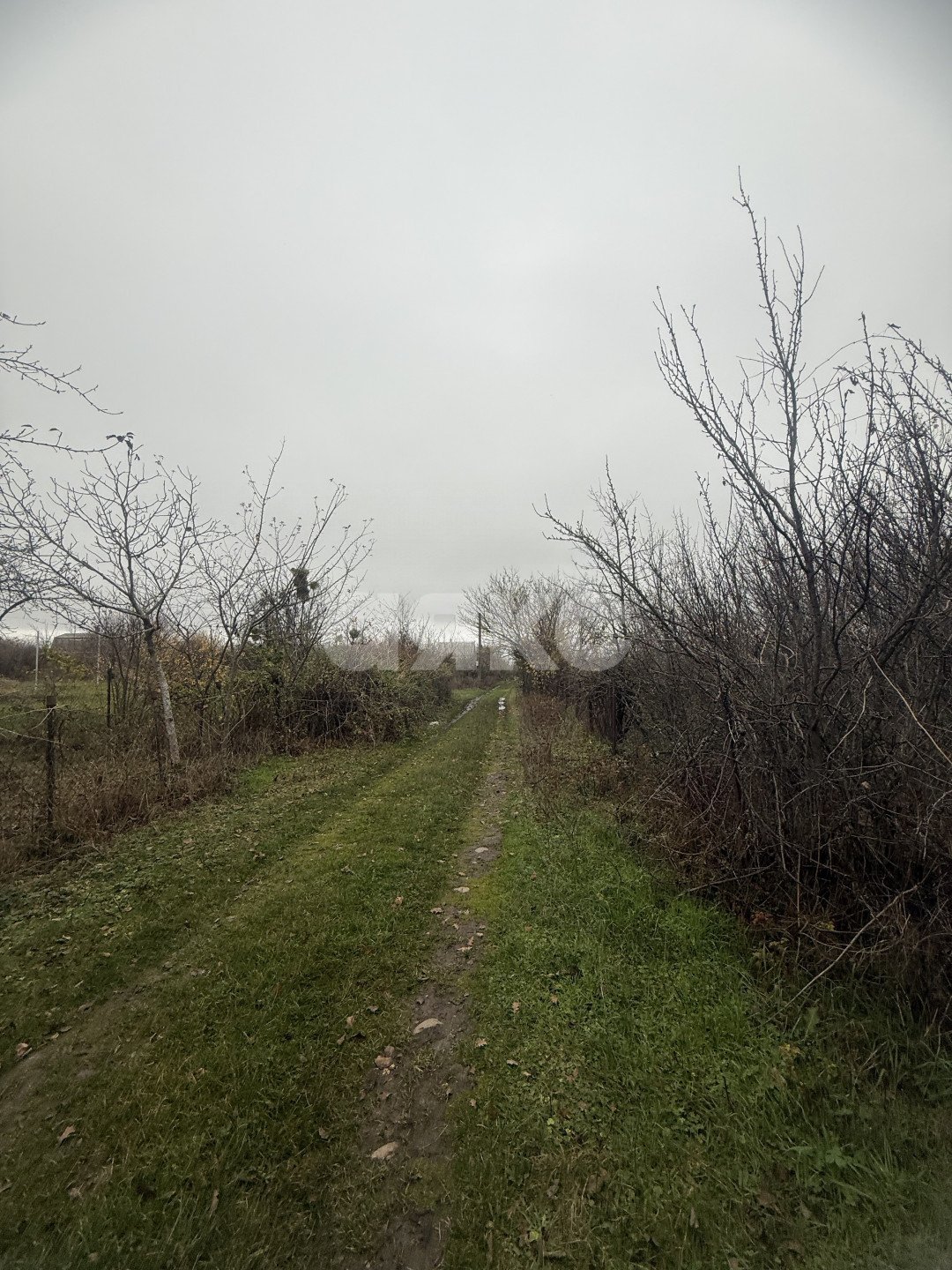 Фото №8: Участок садоводство 5 сот. - Майкоп, СНТ Звёздочка, ул. Роз, 23