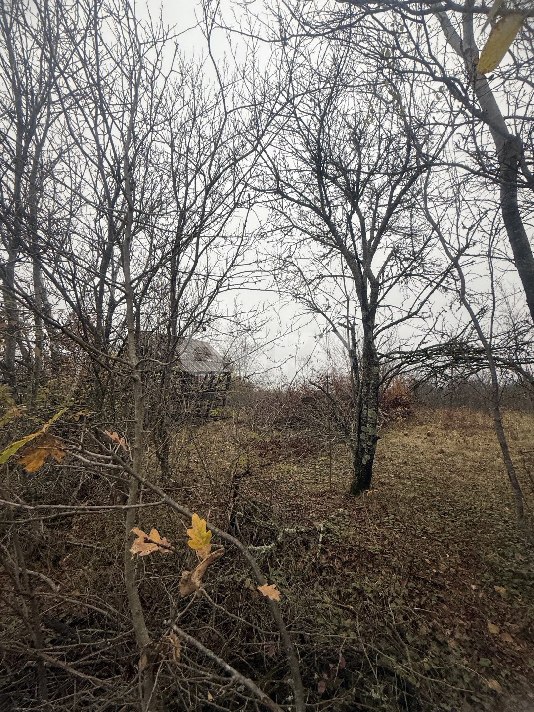 Фото №5: Участок садоводство 5 сот. - Майкоп, СНТ Звёздочка, ул. Роз, 23