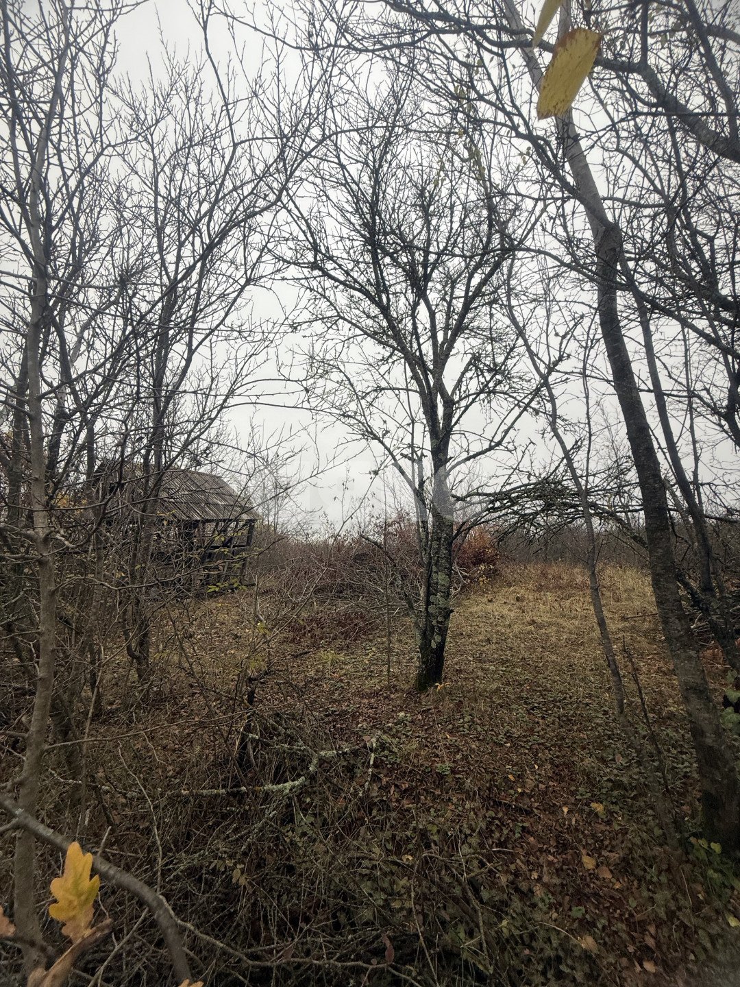 Фото №7: Участок садоводство 5 сот. - Майкоп, СНТ Звёздочка, ул. Роз, 23