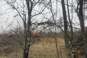 Фото №2: Участок садоводство - Майкоп, мкр. СНТ Звёздочка, ул. Роз, 23