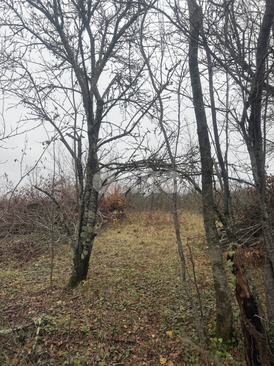 Фото №2: Участок садоводство 5 сот. - Майкоп, СНТ Звёздочка, ул. Роз, 23