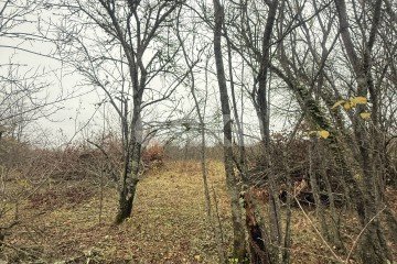 Фото №1: Участок садоводство - Майкоп, мкр. СНТ Звёздочка, ул. Роз, 23