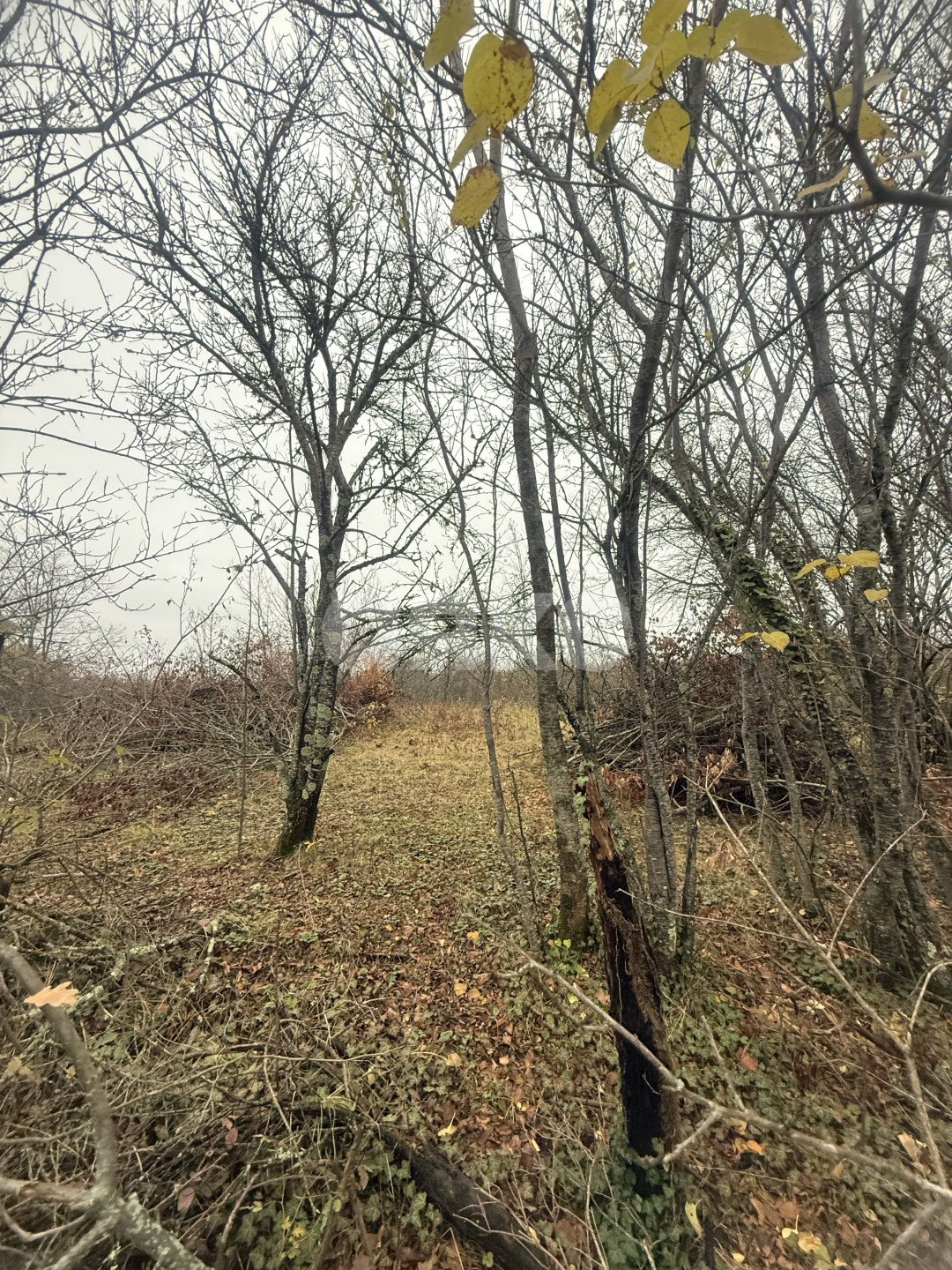 Фото №1: Участок садоводство 5 сот. - Майкоп, СНТ Звёздочка, ул. Роз, 23