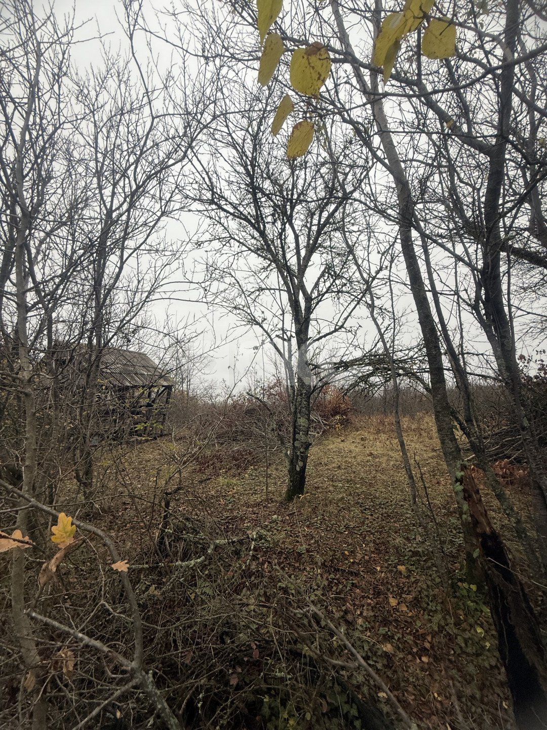 Фото №3: Участок садоводство 5 сот. - Майкоп, СНТ Звёздочка, ул. Роз, 23