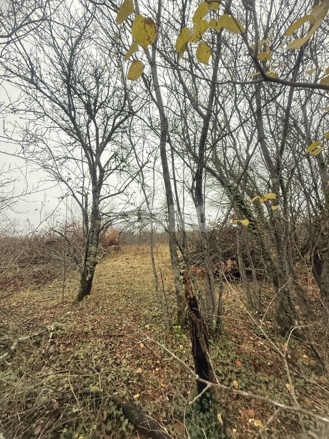 Фото №4: Участок садоводство 5 сот. - Майкоп, СНТ Звёздочка, ул. Роз, 23