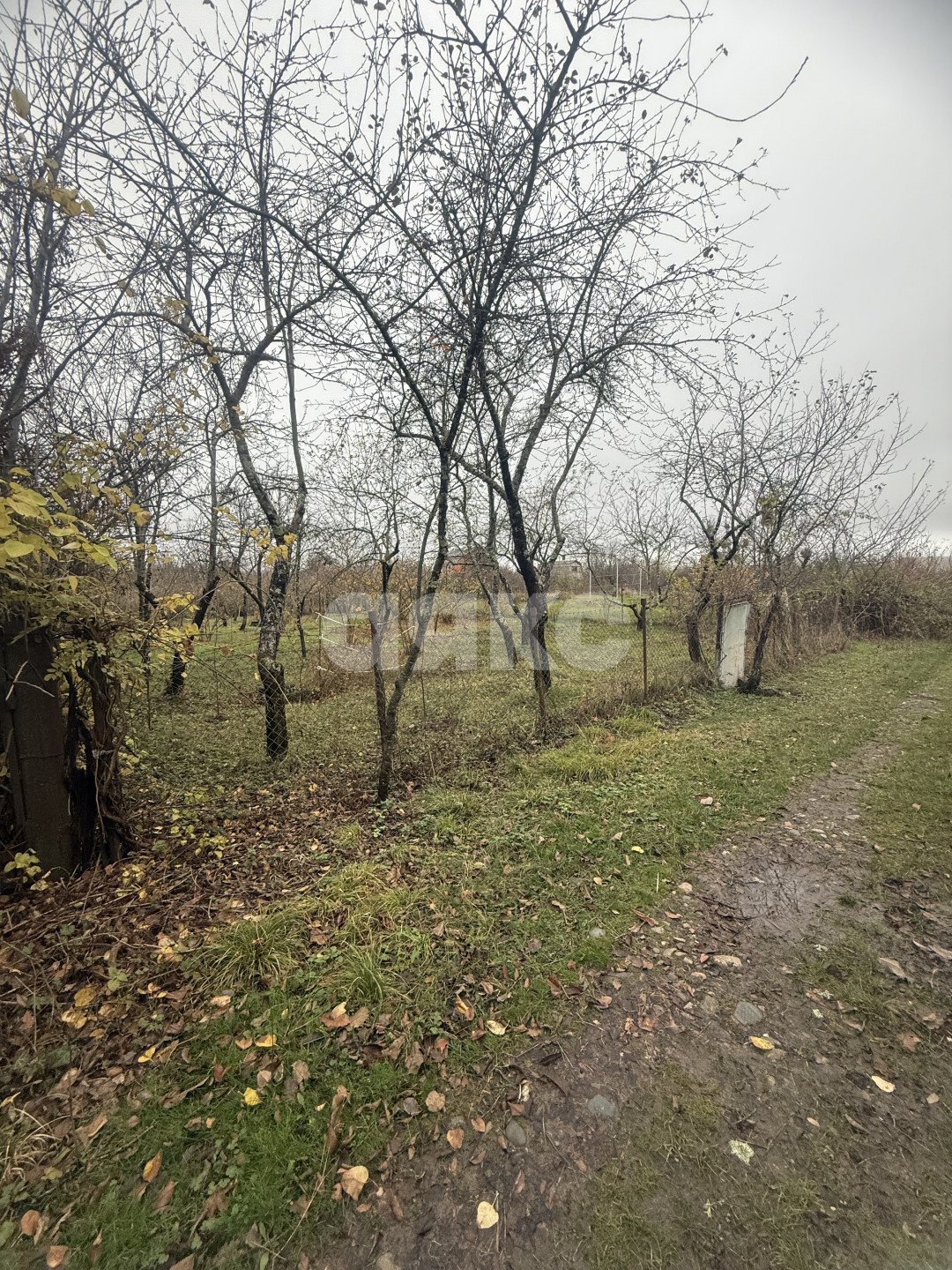 Фото №6: Участок садоводство 5 сот. - Майкоп, СНТ Звёздочка, ул. Роз, 23