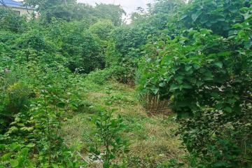 Фото №3: Земельный участок 4 сот. - Мечта, мкр. Карасунский внутригородской округ, ул. Персиковая, 129