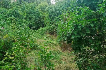 Фото №3: Участок садоводство 4 сот. - Мечта, мкр. Карасунский внутригородской округ, ул. Персиковая, 129