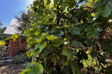 Фото №5: Дом 45 м² - Елизаветинская, ст Речник, ул. Речная