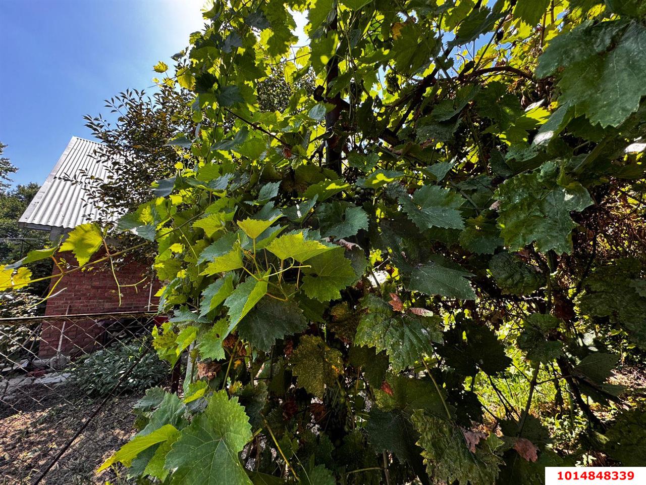 Фото №5: Дом 45 м² + 4 сот. - Елизаветинская, Речник, ул. Речная