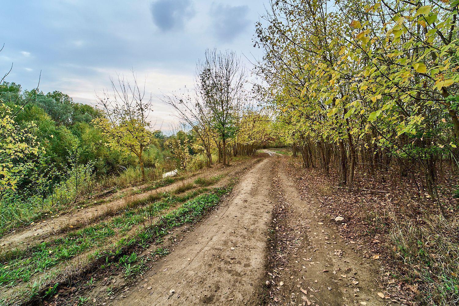 Фото №4: Земельный участок 12.1 сот. - Горячий Ключ, мкр. Городская Больница, ул. Красная, 3