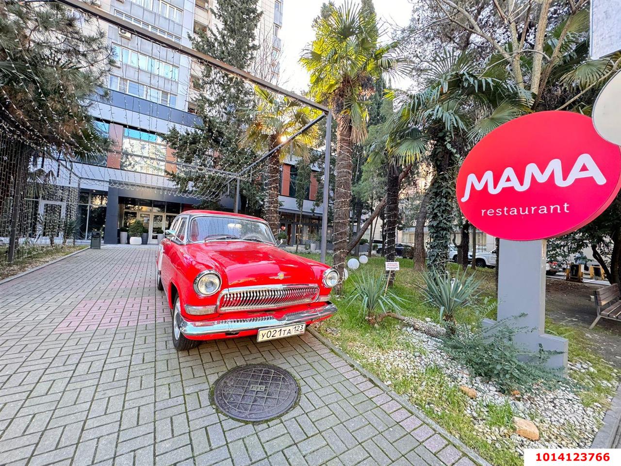 Фото №7: Торговое помещение 462 м² - Сочи, Центральный, ул. Горького, 43