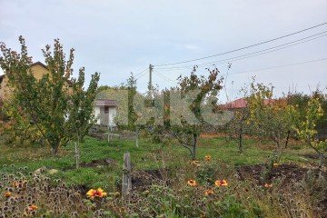 Фото №2: Земельный участок под ИЖС - Пятихатки, ул. Дружбы, 12