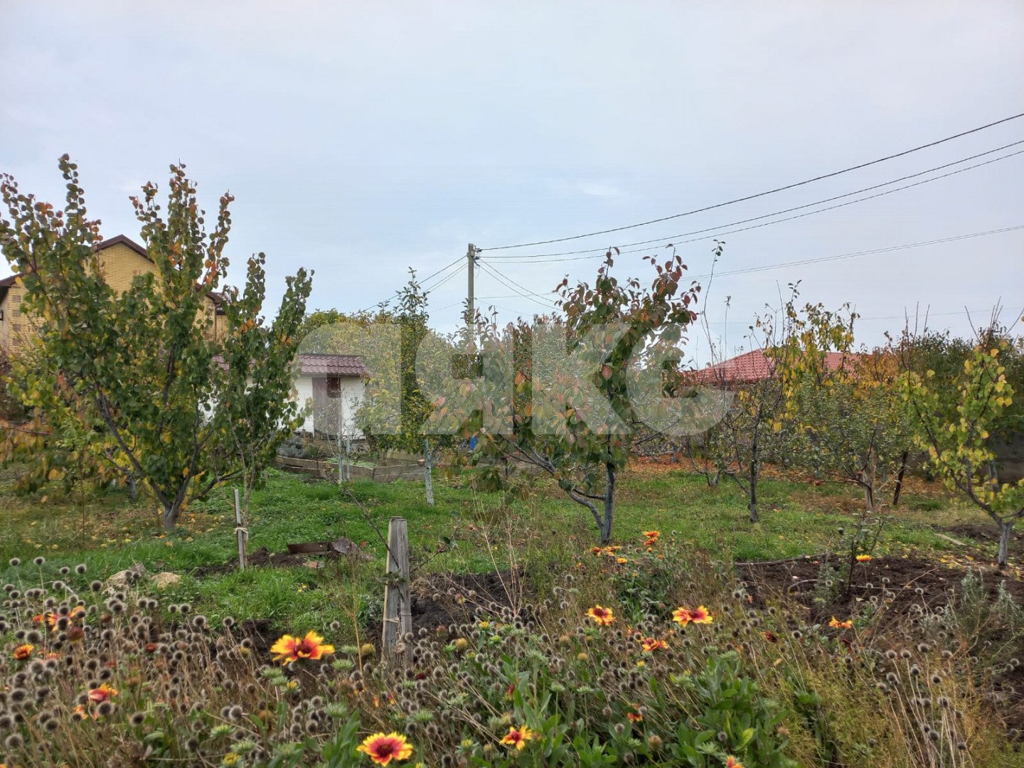 Фото №8: Земельный участок под ИЖС 6 сот. - Пятихатки, ул. Дружбы, 12