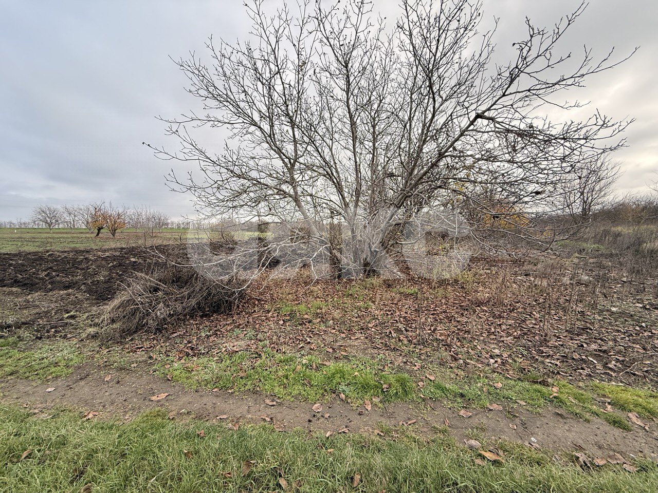 Фото №3: Участок садоводство 10.12 сот. - Бейсужек