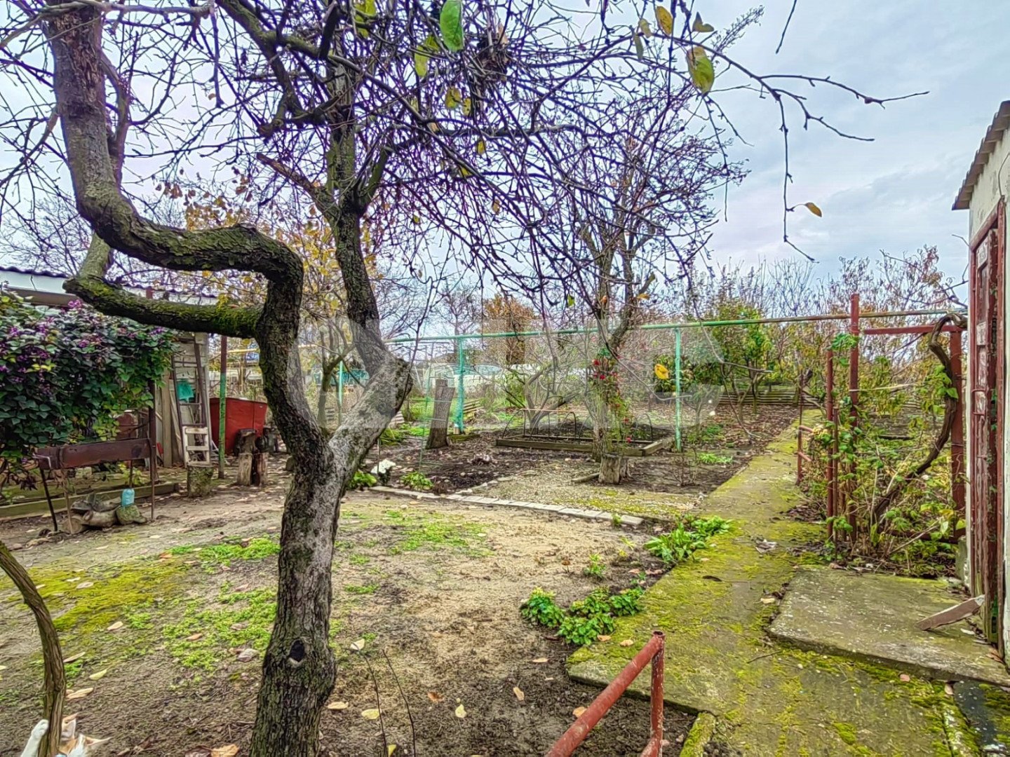 Фото №21: Дом 82 м² + 8 сот. - Юровка, ул. Садовая