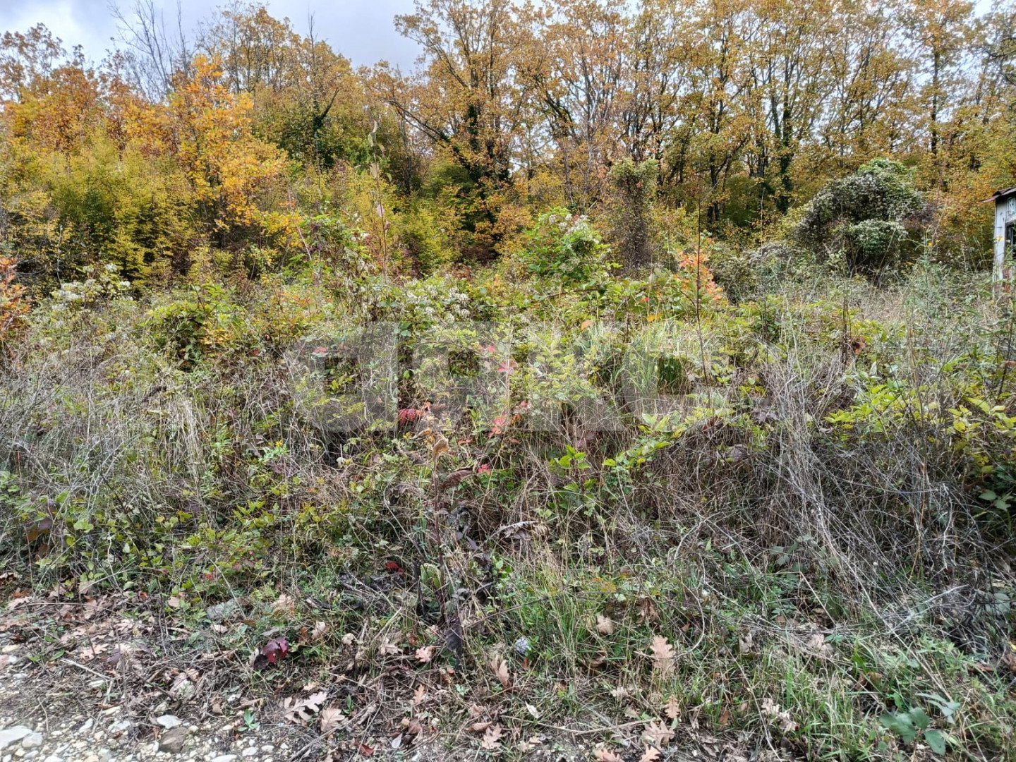 Фото №2: Участок садоводство 6 сот. - ДНТ Океан