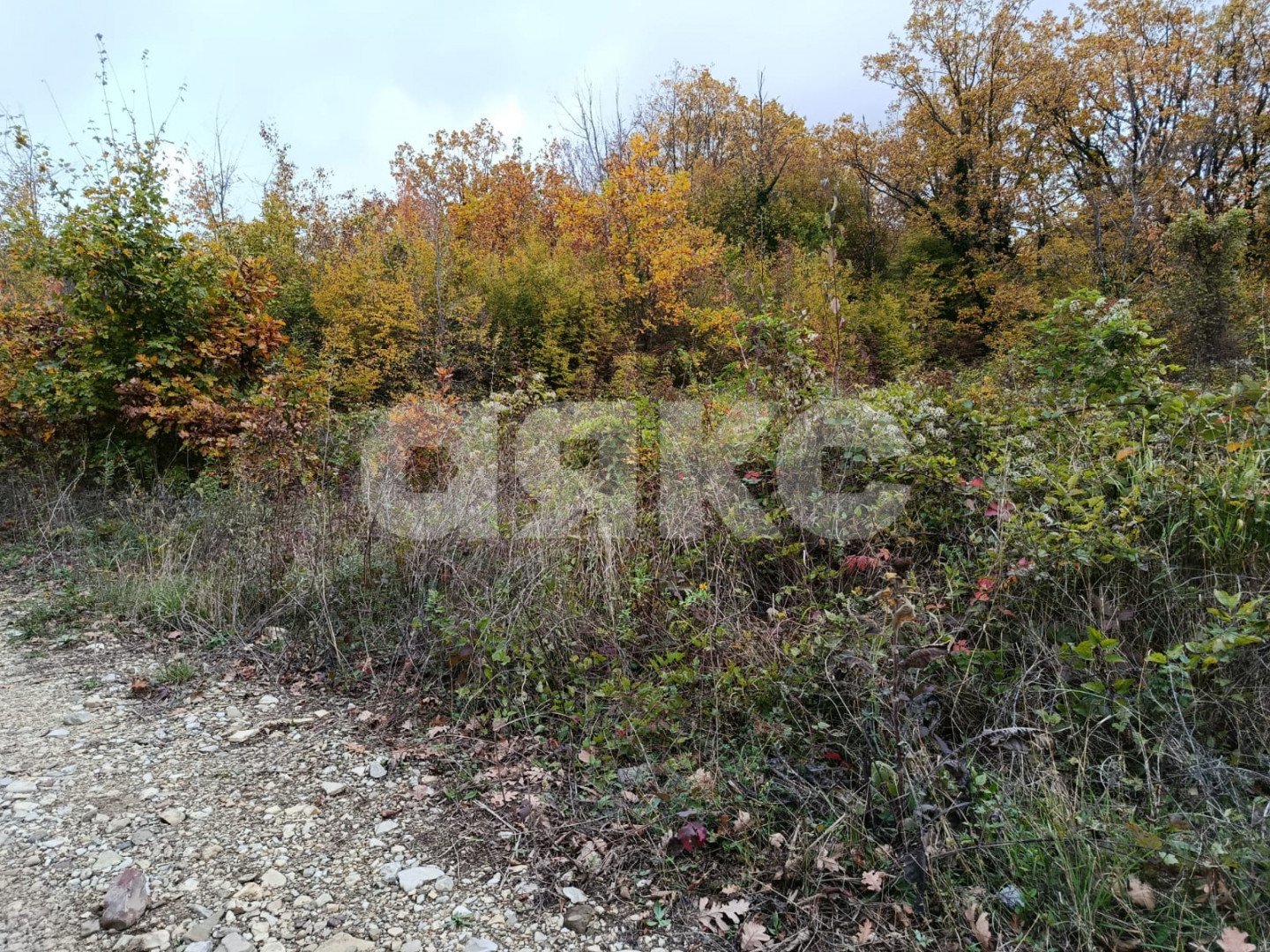 Фото №1: Участок садоводство 6 сот. - ДНТ Океан