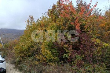 Фото №4: Участок садоводство - ДНТ Океан, 