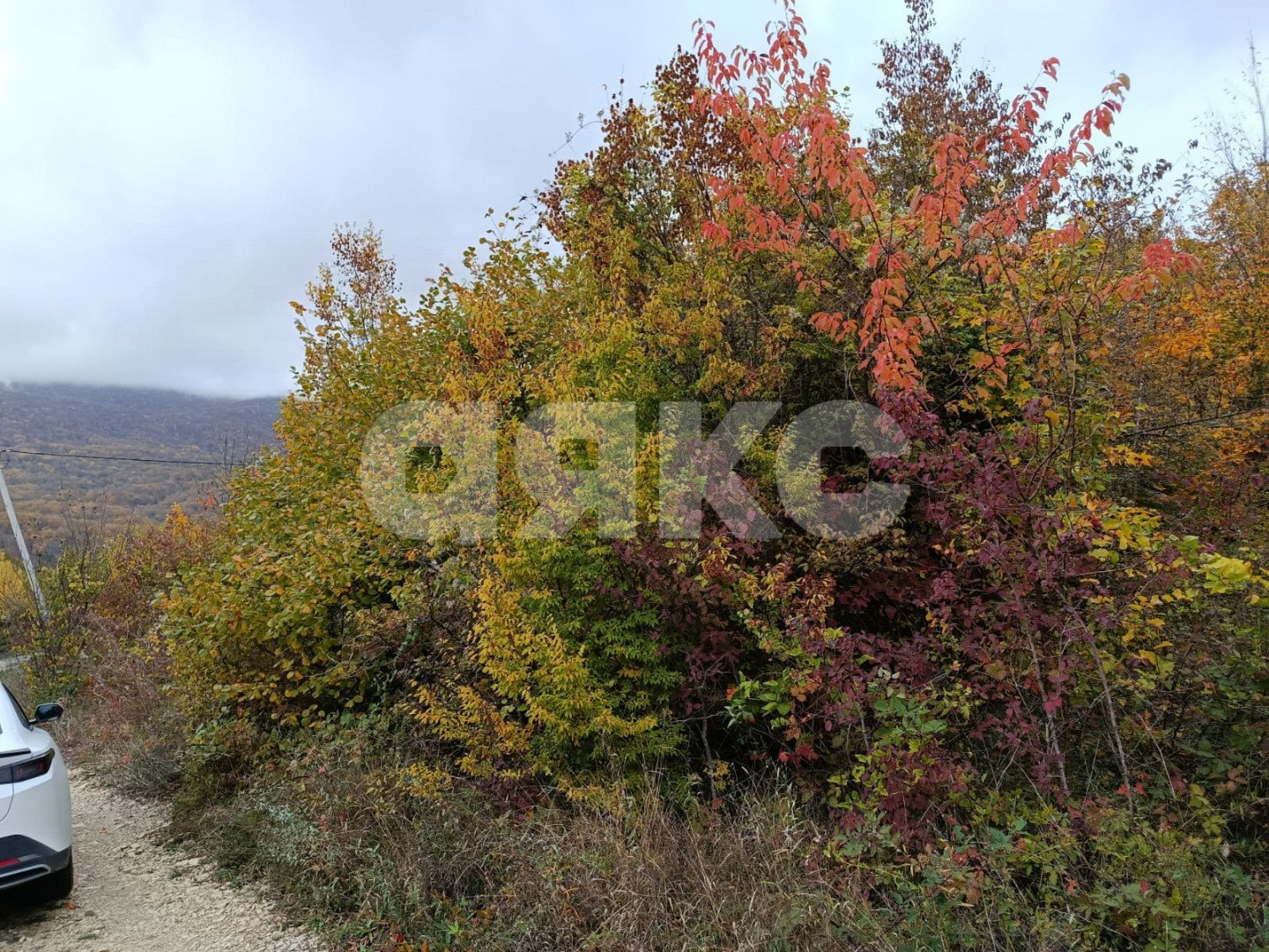 Фото №4: Участок садоводство 6 сот. - ДНТ Океан