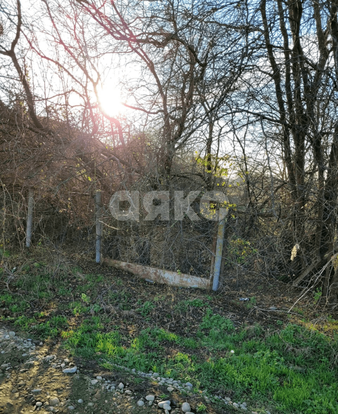 Фото №14: Земельный участок под ИЖС 35 сот. - Платнировская, ул. Октябрьская, 159