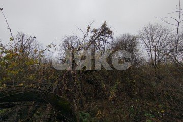 Фото №4: Земельный участок под ИЖС - Кутаисская, ул. Приречная