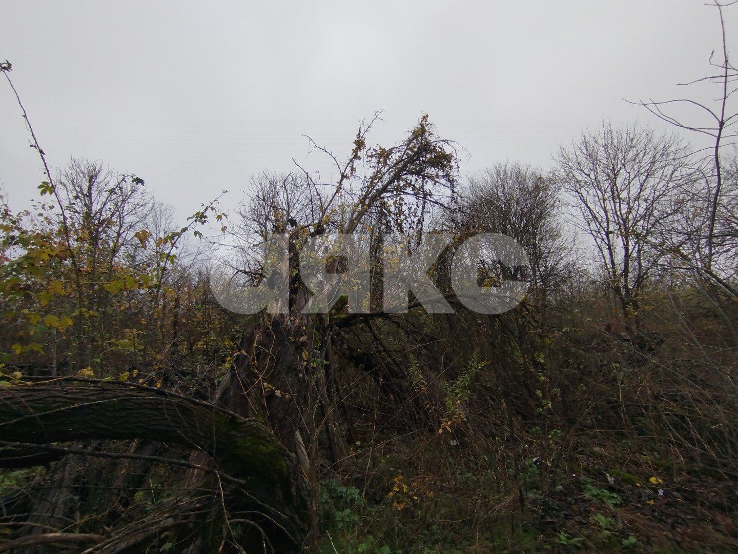 Фото №4: Земельный участок под ИЖС 21 сот. - Кутаисская, ул. Приречная