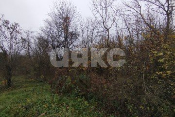 Фото №3: Земельный участок под ИЖС - Кутаисская, ул. Приречная