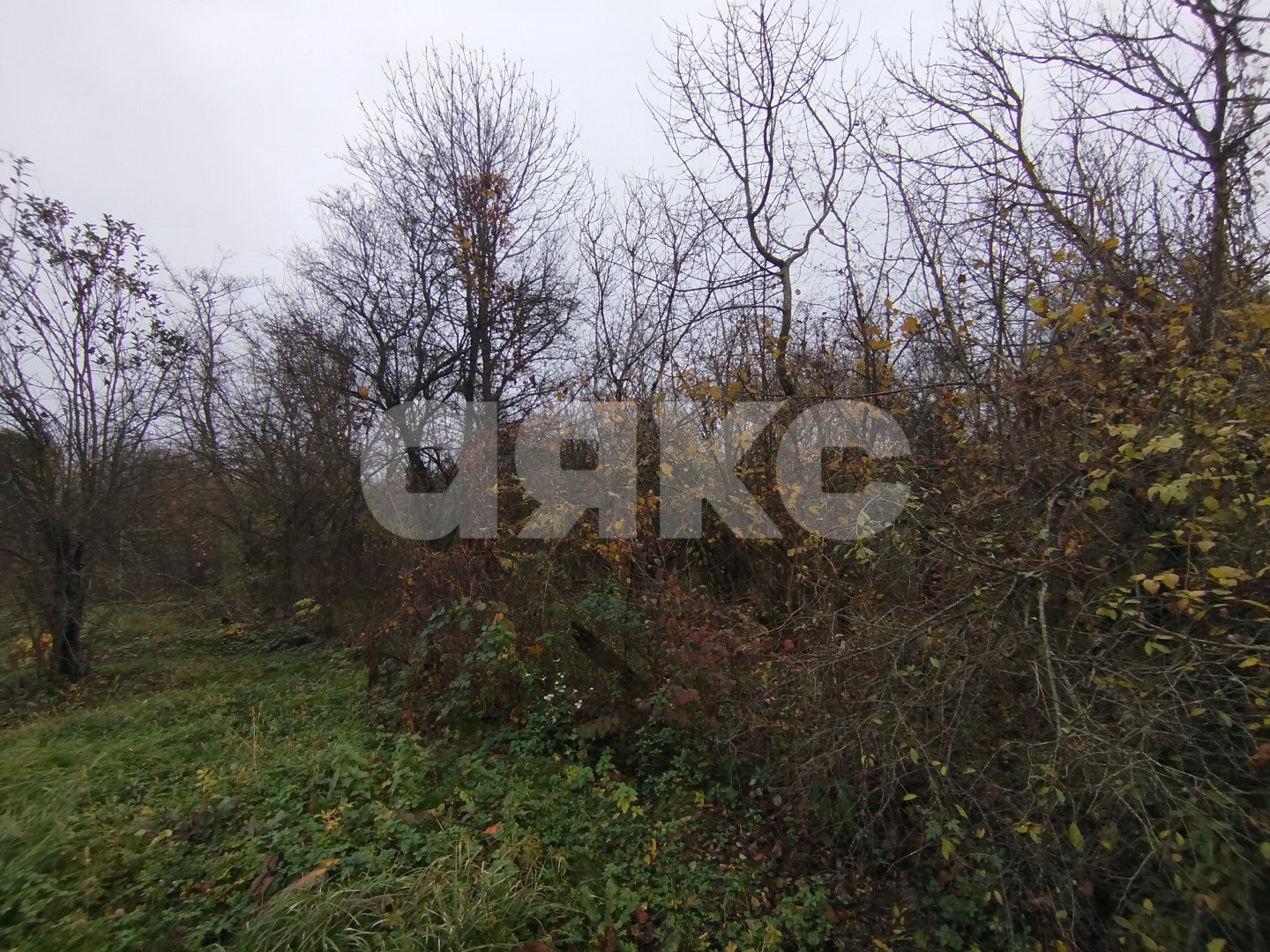 Фото №3: Земельный участок под ИЖС 21 сот. - Кутаисская, ул. Приречная