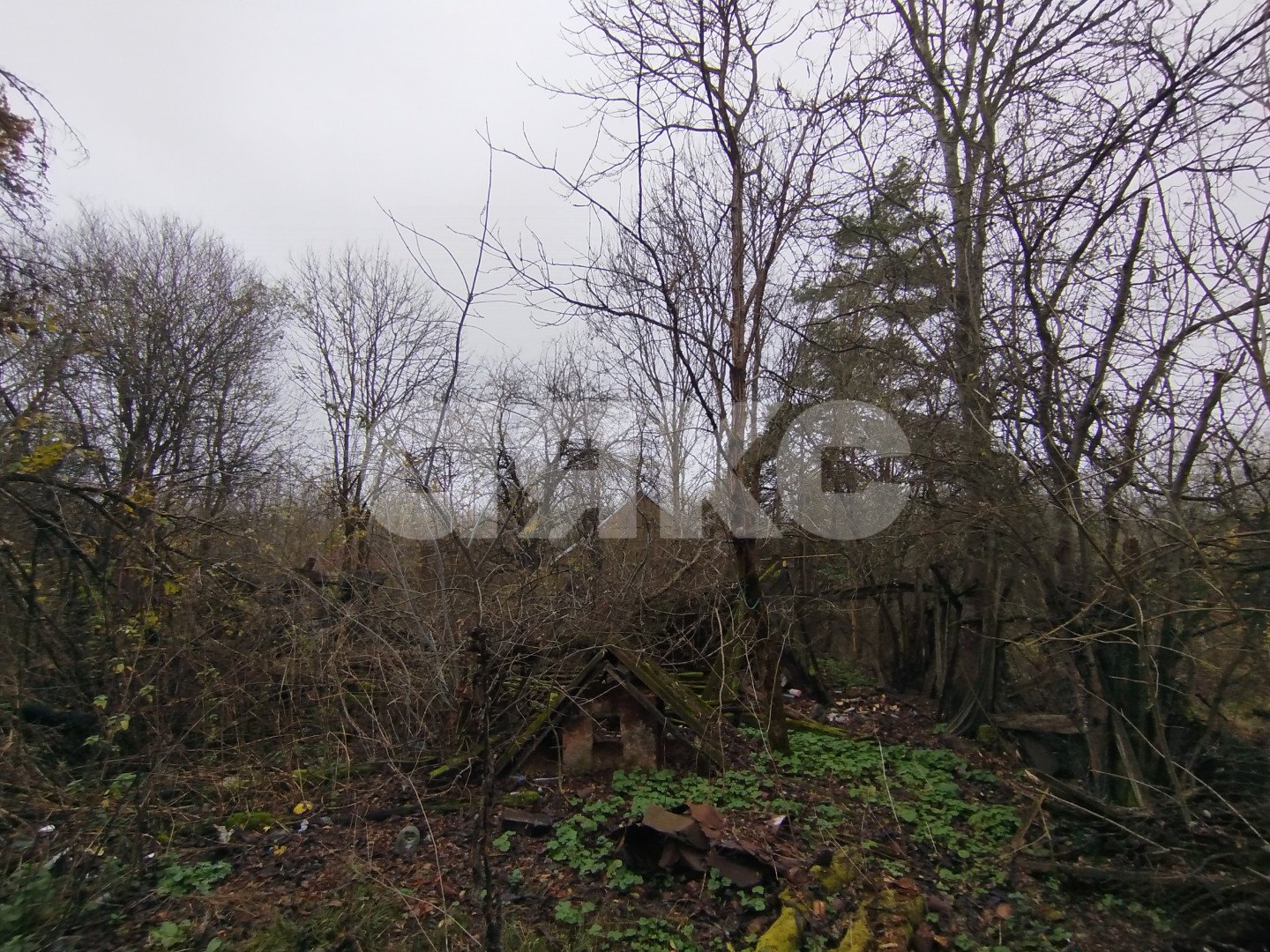 Фото №5: Земельный участок под ИЖС 15 сот. - Кутаисская, ул. Приречная