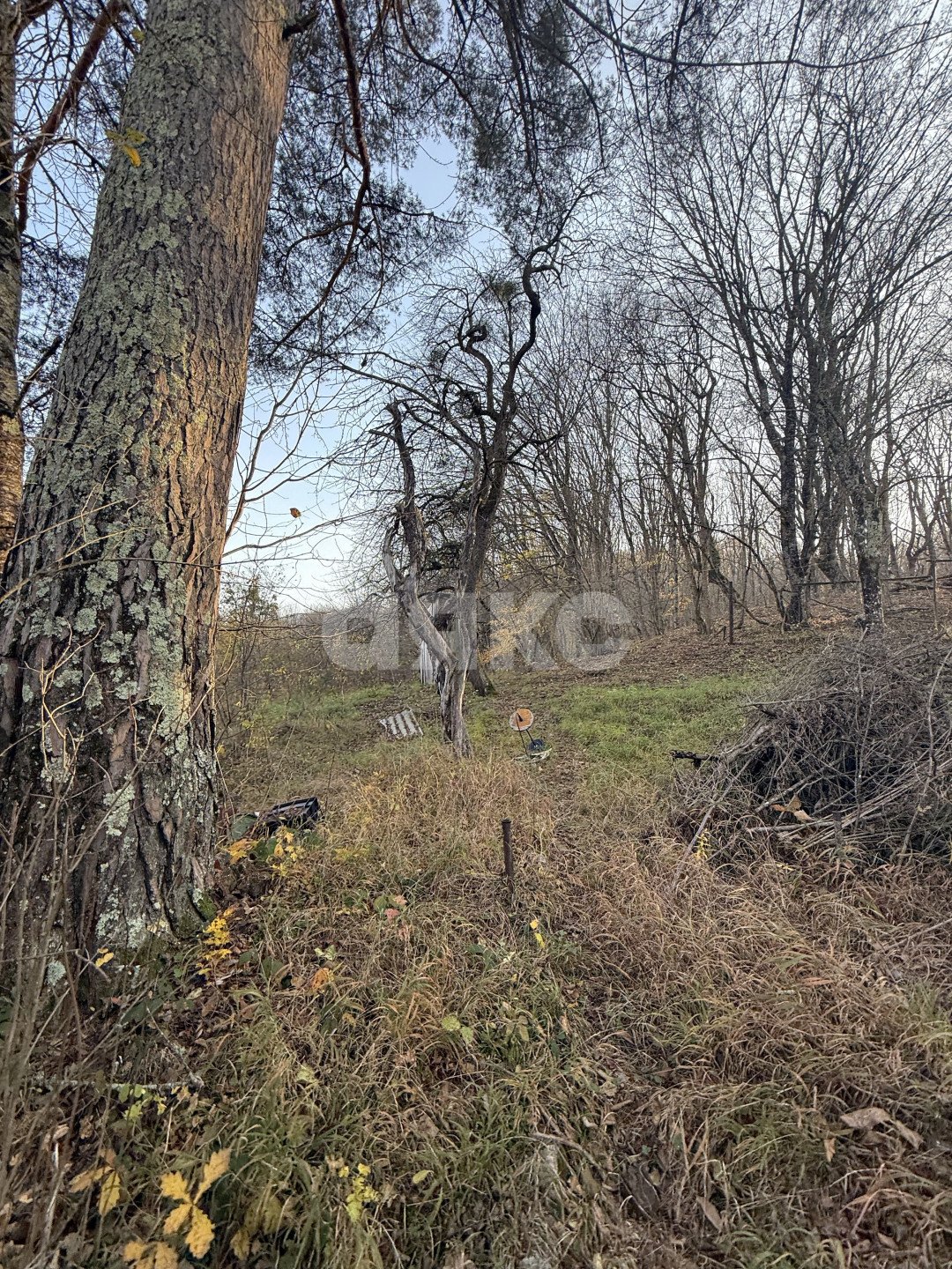 Фото №2: Земельный участок под ИЖС 11 сот. - Хамышки, ул. Садовая