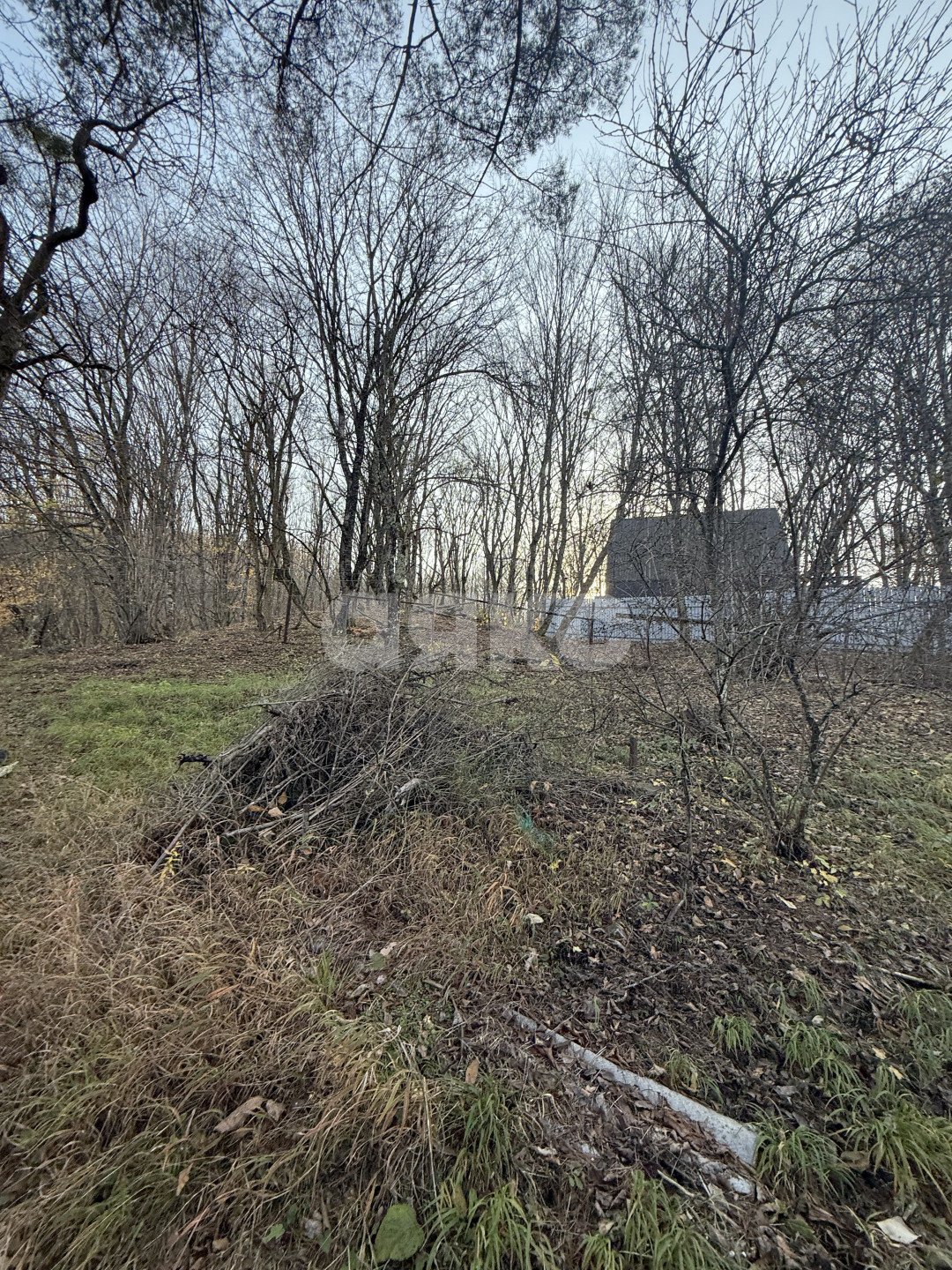 Фото №1: Земельный участок под ИЖС 11 сот. - Хамышки, ул. Садовая