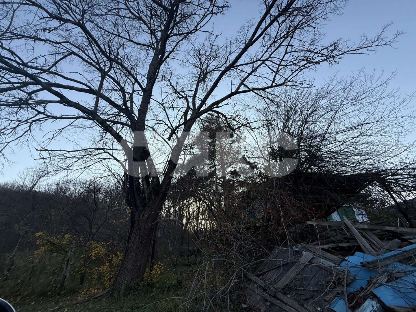 Фото №18: Земельный участок под ИЖС 11 сот. - Хамышки, ул. Садовая