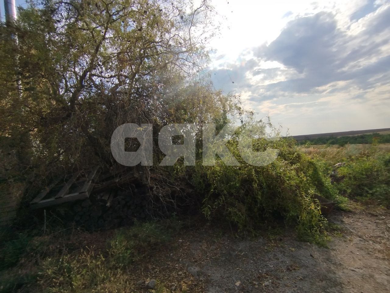 Фото №6: Земельный участок под ИЖС 6.2 сот. - 