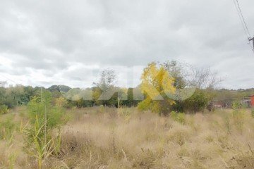 Фото №4: Личное подсобное хозяйство - Советская, ул. Дзержинского