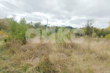 Фото №3: Личное подсобное хозяйство - Советская, ул. Дзержинского