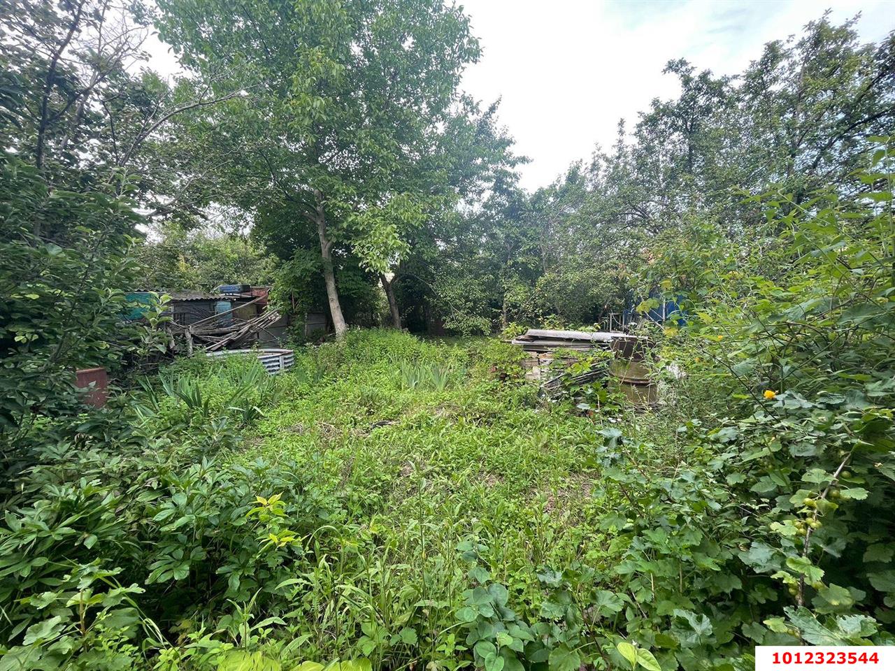 Фото №4: Дом 145 м² + 8 сот. - Краснодар, Вишнёвый сад, ул. Виноградная, 74