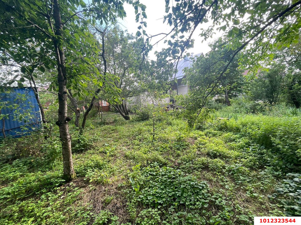 Фото №8: Дом 145 м² + 8 сот. - Краснодар, Вишнёвый сад, ул. Виноградная, 74