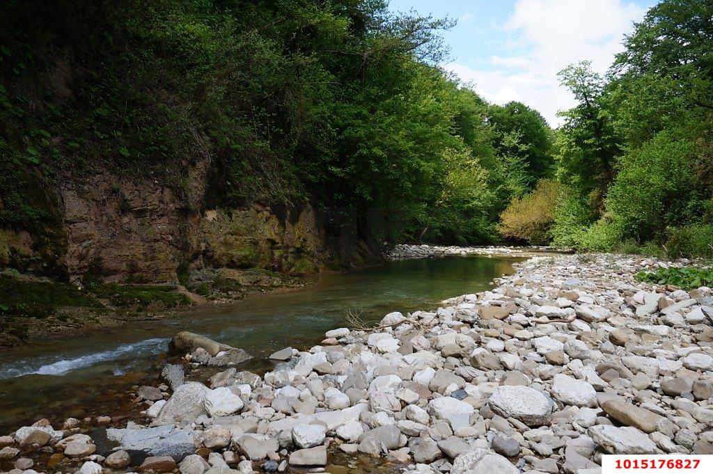 Фото №3: Готовый бизнес 220 м² - Крепостная, Солнечная Поляна, ул. Южная, 12